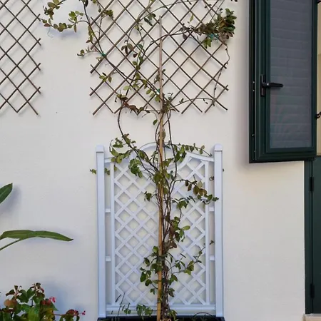 Apartamento Blooming Barocco *